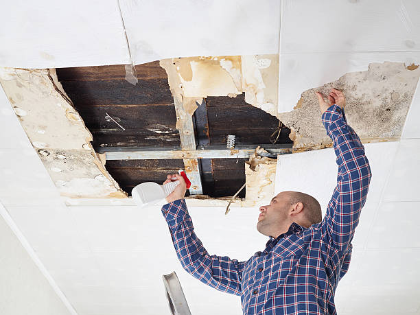 Why You Should Choose Our Mold Remediation Services in Lucas Valley Marinwood, CA